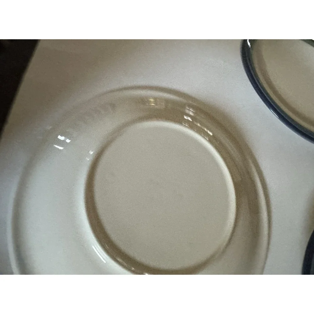 Set of 4- Pfaltzgraff Ocean Breeze Stoneware Dinner Plates
